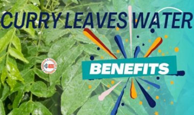 Curry Leaves Benefits: करी पत्ते का पानी का करें सेवन, Immunity सिस्टम होगी बूस्ट,  Body होगी डिटॉक्स और तेजी से घटने लगेगा वजन, जाने इसके फायदें...
