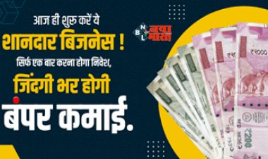 Business Idea: एक बार कर शुरू करें ये जिंदगी भार चलने वाला बिसनेस, होगी बंपर कमाई, सालभर रहती है डिमांड...
