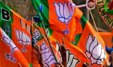 CG Political News : दूसरे चरण के चुनाव के लिए बीजेपी ने की चुनाव संचालकों की नियुक्ति ,देखें लिस्ट.......