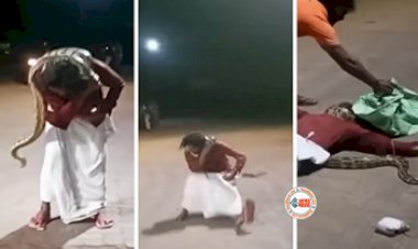 Viral Video Today: सेल्फी लेने के लिए पेट्रोल पंप पर लाए अजगर, फिर नशे में धुत व्यक्ति के साथ अजगर ने जो किया उसे देख सभी के उड़ गये होश- देखे वीडियो...