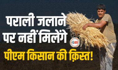 PM Kisan Yojana : सावधान! पराली जलाने पर नहीं मिलेंगे पीएम किसान योजना की अलगी क़िस्त, लगेगा भरी जुर्माना, जाने डिटेल...