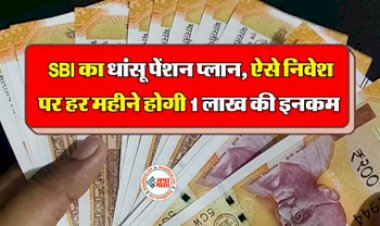 SBI Pension Plan : SBI लेकर आया है धांसू प्लान! ऐसे निवेश करने पर हर महीने होगी 1 लाख की इनकम, जाने प्लान की डिटेल...