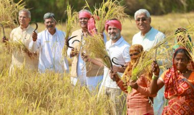 Rahul Gandhi Visit in CG: सुबह-सुबह अचानक किसानों के बीच पहुंचे राहुल गांधी,किसानों से बातचीत कर धान कटाई की ली जानकारी…देखें राहुल गांधी का किसानी अंदाज वाला PHOTO…