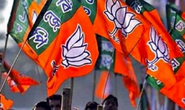 CG Political News : बीजेपी ने इन 6 विधानसभा के लिए  की चुनाव संचालक-सहसंचालकों की नियुक्ति...देखिये सूची........