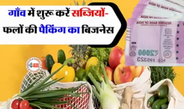 Business Idea : गाँव से ही शुरू कर सकते है ये नए जमाने का बिसनेस, लागत कम, मुनाफा जबरदस्त, सरकार भी करेगी मदद...