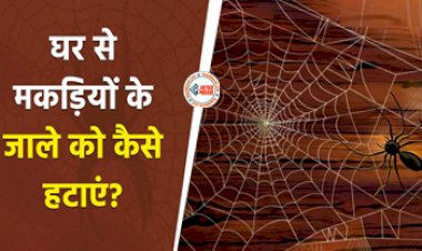 Spider Webs Tips : घर में लगे मकड़ी के जाले से पाना चाहते है छुटकारा!  तो अपनाएं ये बेहतरीन हैक्स, मकड़ी भूल जाएगी आपके घर का रास्ता...