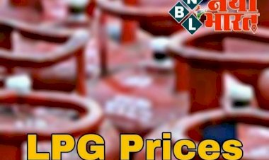 LPG Price Hike : दिवाली से पहले जोर का झटका, इतने रुपये बढ़े सिलेंडर के दाम, जानिए क्या है नई कीमत....