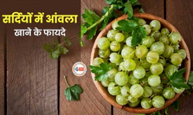 Benefits Of Eating Amla : सर्दियों में आंवला खाना होता है सेहत के लिए बेहद फायदेमंद, डायबिटीज से लेकर डाइजेशन जैसी कई परेशानी होती है दूर, आज ही अपने डाइट में करें शामिल...