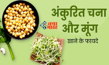 Sprouted Gram: भीगे हुए और अंकुरित चने खाने से हमारे शरीर को मिलते है कई लाभ, रोज सुबह खाली पेट करें सेवन, मिलेगा भरपूर प्रोटीन और फाइबर...