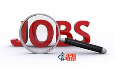 Government Job: NLC इंडिया लिमिटेड में 295 पदों पर निकली भर्ती, सैलरी 1 लाख से ज्यादा, आवेदन आज से शुरू...