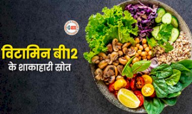 Vitamin B12 Foods : शाकाहारी लोगों के लिए ये फ़ूड है विटामिन बी12 से भरपूर, ऐसे करें सेवन, यहाँ देखें लिस्ट...