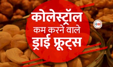 Dry Fuits and Herbs for Cholesterol : सालों पुराने कोलेस्ट्रॉल से मिलेगा राहत! आज ही अपने डाइट में शामिल करें ये ये ड्राइफ्रूट्स और हर्ब्स, कुछ ही दिनों में फर्क आएगा नज़र...