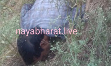 लोहर्सी मे करंट लगने से एक किसान की मौत लटकते तार कि संपर्क में आने से गई जान दो साल पहले भी हुई थी घटना पर विभाग हैं कि नींद से जागता ही नहीं पढ़े पूरी खबर