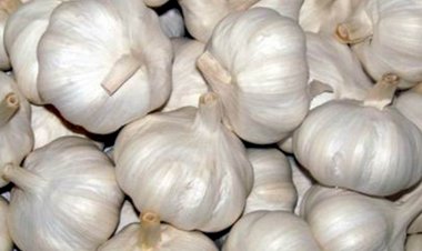 Garlic Price Hike : प्याज के बाद अब लहसुन की कीमतों में हुई बढ़ोतरी, जानिए क्या है ताजा भाव.....