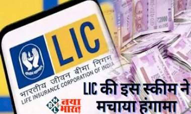 Lic letest Policy: LIC की इस स्कीम ने मचाया हंगामा, अब एक साथ  इस स्कीम से मिलेगा ये अनोखे फायदे, जानें कैसे?