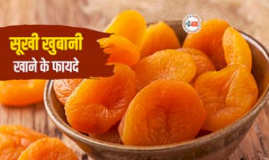 Powerfood Dried Apricot: आंखों की रौशनी बढाने के लिए रोज खाएं सूखी खुबानी, मोटापा भी हो जाएगा कम, साथ ही इन बिमारियों के लिए भी है बेहद फायदेमंद...