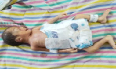 CG NEWS : नवजात इस हालत में मिली ,इलाज के दौरान मौत, क्षेत्र में मचा हड़कंप, लोगों ने जताई ये आशंका.....