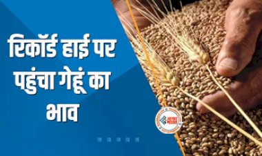 Wheat Price 2024 : किसान होंगे मालामाल! रिकॉर्ड हाई पर पहुंचा गेंहूं का भाव, इतने रुपये क्विंटल करने पर मंथन कर रही मोदी सरकार...