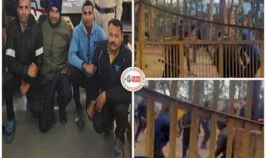 CG- प्रदर्शन कर रहे ठेकाकर्मियों की बेदम पिटाई: प्लांट के बाहर कर रहे थे चक्काजाम, गार्ड्स ने दौड़ा-दौड़ाकर भांजी लाठियां, जमकर चले लाठी-डंडे....