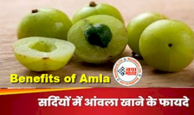 Benefits of Amla : सर्दियों में 'सुपर फूड' आंवले के सेवन से शरीर को मिलेंगे ये अनोखे फायदे, यहा जाने सब कुछ...