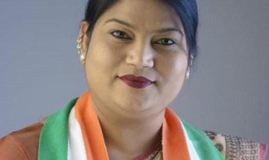 नगर निगम पालिका की महापौर सफीरा साहू ने नमन अभियान को सफल बनाने सभी की सहभागिता जरूरी...