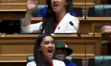 महिला सांसद का VIDEO वायरल: संसद भवन में करने लगीं डांस, ऐसी गरजी कि हिल गया पार्लियामेंट, देखें वीडियो....