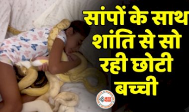 Snake Viral Video: छोटी सी बच्ची को है जहरीले सांपों से खेलने का शौक, रात को सोती है उन्ही से लिपट कर- देखे रोंगटे खड़ा कर देने वाला ये Video...