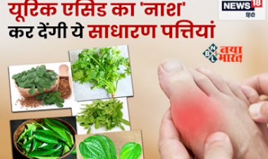 Control Uric Acid with Bay Leaf : बढ़े हुए यूरिक एसिड से पाना चाहते हैं छुटकारा! तो आज से ही इस सूखे पत्ते का करें सेवन, इन बिमारियों से भी मिलेगी रहत...