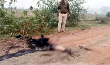 CG - सड़क किनारे मिली महिला की अधजली लाश, क्षेत्र में फैली सनसनी, हत्या या फिर….जांच में जुटी पुलिस.....