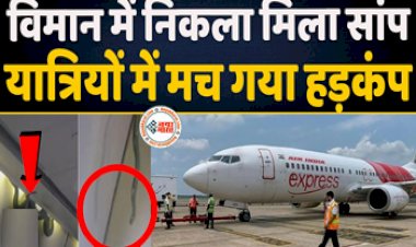 Flight Viral Video: उड़ते प्लेन में मिला सांप, यात्री डर से गए कांप, इस हाल में पूरा किया सफर- देखे विडियो...