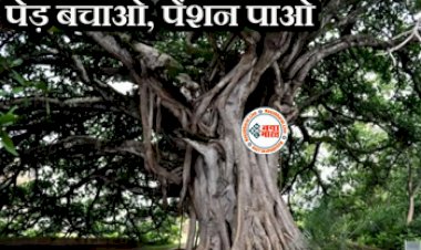 Pension Scheme for Trees: पेड़ बचायो, पेंशन पाओ! अब पुराने पेड़ पर मिलेगी इतनी सालाना पैंशन, ऐसे करे आवेदन....