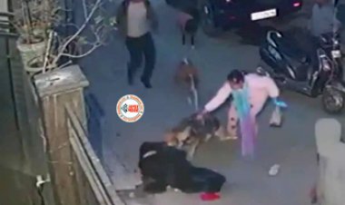 Dog Attack Viral Video : छोटे बच्चे को लेकर जा रही थी महिला, तभी टूट पड़ी कुत्तों की फ़ौज, फिर जो हुआ... नज़ारा देख दहल जायेगा दिल- देखें विडियो...