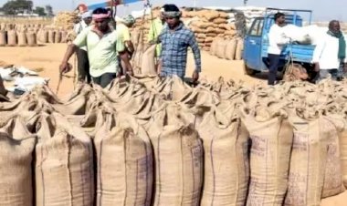 CG- धान से बरसेगा धन: किसानों को 28,708 करोड़ रूपए का भुगतान, अब तक इतने लाख मीट्रिक टन धान की खरीदी.....