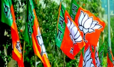 CG- 15 पर्यवेक्षक नियुक्त BIG NEWS: लोकसभा चुनाव के लिए BJP ने की पर्यवेक्षकों की नियुक्ति... देखें लिस्ट....