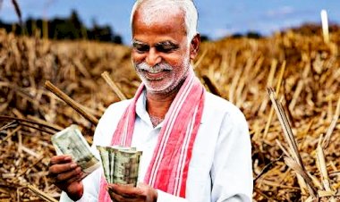 CG Dhan Bonus: किसानों के लिए अच्छी खबर... जल्द दी जाएगी धान खरीदी के अंतर की राशि....