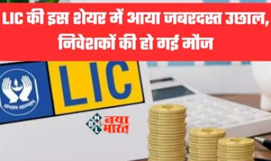 LIC Share News : LIC का बढ़ा प्रॉफिट, तो हो गई निवेशको की मौज, हर शेयर पर मिला इतना डिविडेंड, जाने पूरा कैलकुलेशन...