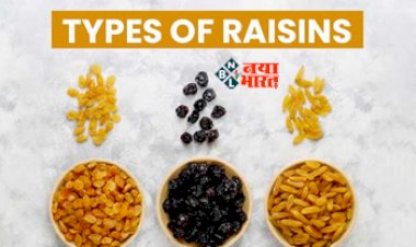 Types of Raisins : 1 या 2 नहीं, 6 प्रकार की होती है किशमिश, जान ले सभी के गुण, कौन सा है ज्यादा हेल्दी...