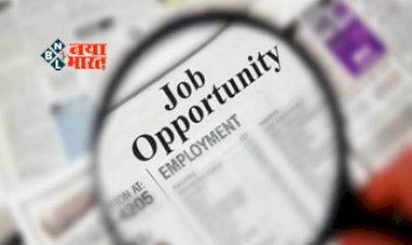 Job Opportunity : ग्रेजुएट और डिप्लोमा होल्डर्स के लिए बड़ी खबर! इन विभिन्न पदों पर निकली है भर्ती, जल्दी करें अप्लाई, ये है सिलेक्शन प्रोसेस...