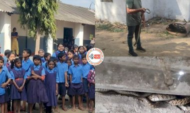 CG VIDEO: स्कूल के टॉयलेट में निकला 7 फिट लंबा सांप... बच्चों ने देखा तो मची चीख पुकार... फिर जो हुआ... देखें वीडियो....