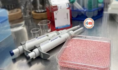 New Hybrid Food : वैज्ञानिकों का नया कारनामा! बीफ से बना दिया मीट वाला चावल, जाने सामान्य वाल चावल से कितना अलग? जाने पूरी डिटेल...