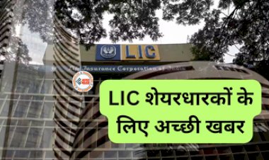 LIC Investment : LIC का यह स्टॉक निवेशको को बना रहा है मालामाल, दिया  700 प्रतिशत तक का रिटर्न, यहाँ जाने पूरी डिटेल...