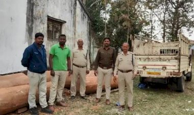 वन अमला की बड़ी कार्यवाही,6 नग अवैध साल लट्ठा,सहित वाहन जप्त।