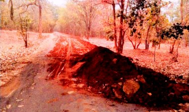 CG - निजी कम्पनियों द्वारा खोदे गए सड़को पर अनावश्यक गड्डे से राहगीरों को हो रही परेशानी...