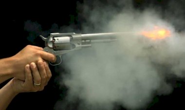 CG Crime News : शिक्षक की पत्नी को घर में घुसकर मारी गोली, महिला की हालत नाजुक, युवकों ने इस वजह से दिया वारदात को अंजाम....