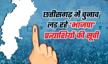 Lok Sabha Election 2024 : छत्तीसगढ़ में बीजेपी ने इन उम्मीदवारों पर खेला दाव, 9 सांसदों का कटा पत्ता, 11 में से 3 महिलाएं शामिल, देखिए सबकी प्रोफाइल.....