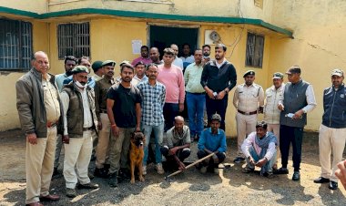 CG Crime News : काटे भालू के पंजे, नाखून और  गुप्तांग, 3 आरोपी गिरफ्तार, जाने क्या है पूरा मामला.....