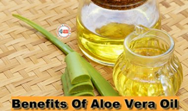 Benefits Of Aloe Vera Oil : कई चमत्कारी गुणों से भरपूर है एलोवेरा तेल, इस तरह से करें उपयोग, मिलेंगे कई लाभ...