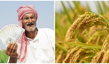 CG - किसानों के लिए बड़ी खुशखबरी : इस बार धान से बनेगी 'धन' वाली छत्तीसगढ़ के किसानों की होली, इस तारीख को खाते में आएंगे 13,000 करोड़ रुपये.....