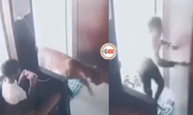 Child Locked Leopard in Cabin : मोबाइल में गेम खेल रहा था लड़का, तभी घर में घुस गया खूंखार तेंदुआ, फिर जो दिमाग लगाया, देखें विडियो...