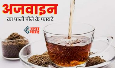 Ajwain Water Benefits : शरीर की सारी गन्दगी बाहर निकाल देगा अजवाइन का पानी, मोटापा भी होता है दूर, जाने सेवन का तरीका...